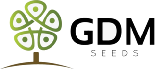 GDM
